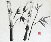 Bamboo