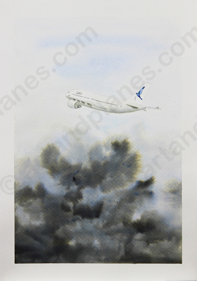 A310 SATA Painting
