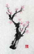 Plum tree III