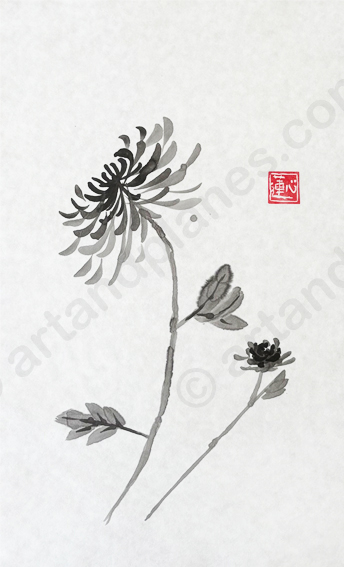 Chrysanthemum III