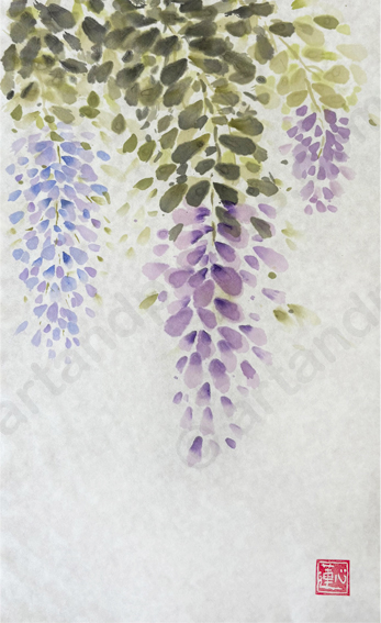Wisteria