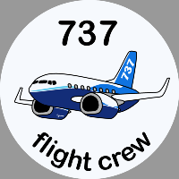 B-737 Boeing Sticker