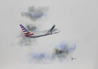 B737 American Airlines Painting