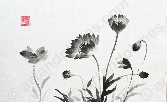 Poppies