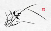 Orchid II