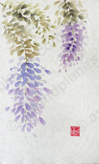 Wisteria II