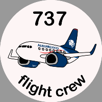 B-737 Aeromexico Sticker