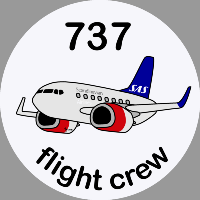 B-737 SAS Sticker