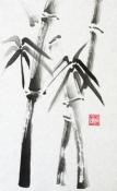 Bamboo V