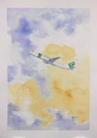 B737 Transavia Painting