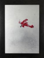 Bücker Jungmann Painting