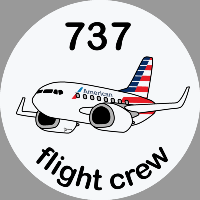 B-737 American Airlines Sticker