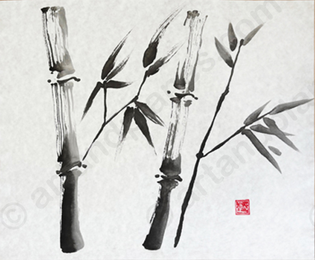 Bamboo