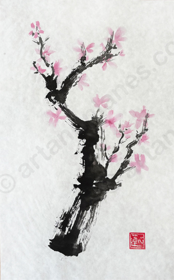 Plum tree III