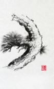 Pine II