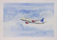 A321 SAS Painting