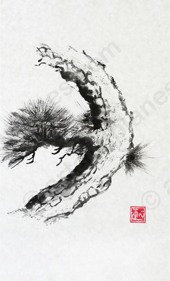 Pine II