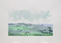 Greeny Castilian landscape