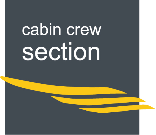 cabin crew announcements fsx