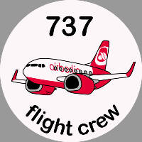 B-737 Air Berlin Sticker