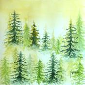 Fir Trees