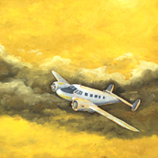 Pintura al óleo de aviones / Planes