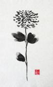 Chrysanthemum II