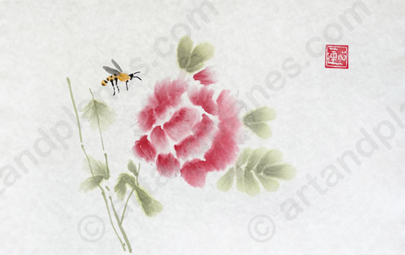 Peony and bee