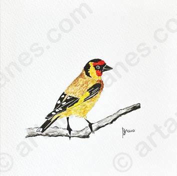 Goldfinch Birdie