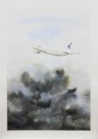 A310 SATA Painting