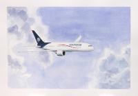 B787 Aeromexico Painting