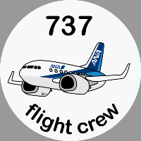 B-737 ANA Sticker