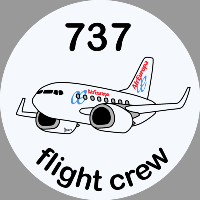 B-737 Air Europa Sticker