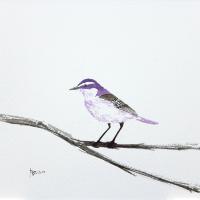 Violet birdie