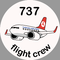 B-737 Turkish Airlines Sticker