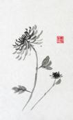 Chrysanthemum III