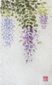 Wisteria