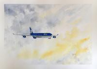 A340 Air Comet Painting