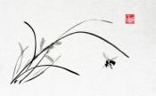 Orchid and wasp