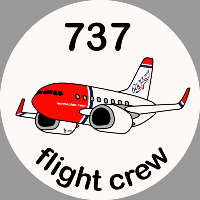 B-737 Norwegian Sticker