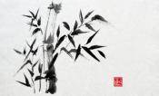 Bamboo III