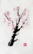 Plum tree II