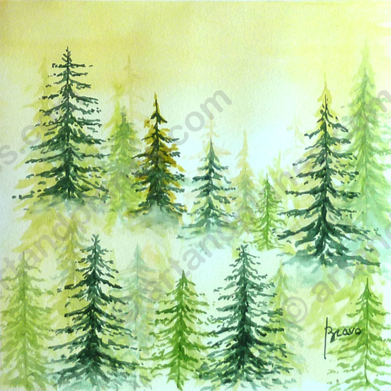 Fir Trees