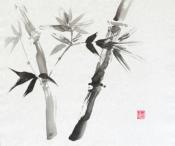 Bamboo II