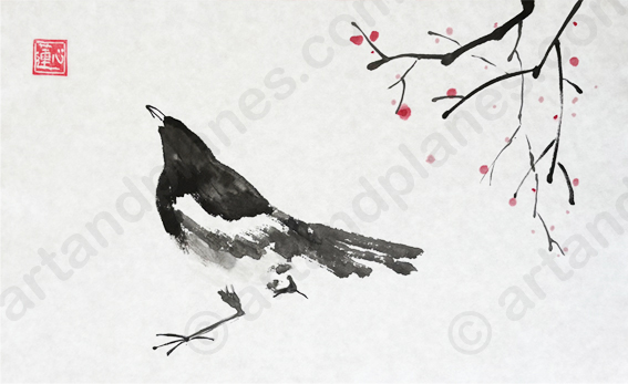 Magpie